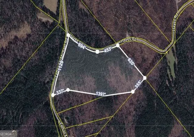 Homes for sale in Monticello, GA | 0 Felton Mcmichael Rd & Hayes   Landlot 090 Rd, Monticello, GA 31064 | MLS# 10791994