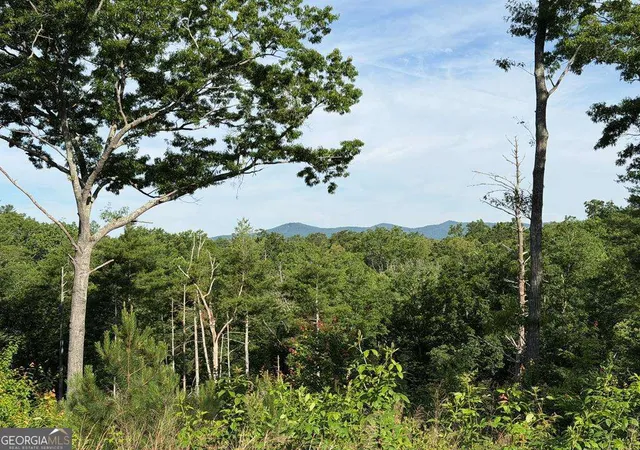 Photo 1 of Land for sale at Lt 304 Greenwood Ct #304, Ellijay, GA 30536 | MLS# 10780216 | Listing updated on 2026-06-19