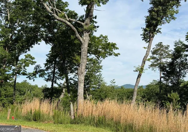 Photo 3 of Land for sale at Lt 304 Greenwood Ct #304, Ellijay, GA 30536 | MLS# 10780216 | Listing updated on 2026-06-19