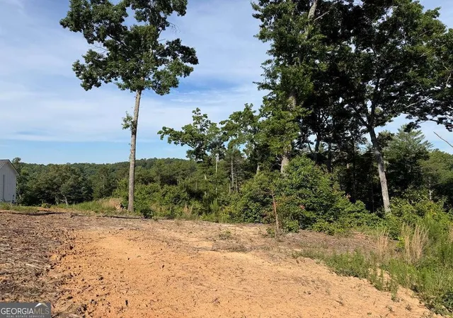 Photo 4 of Land for sale at Lt 304 Greenwood Ct #304, Ellijay, GA 30536 | MLS# 10780216 | Listing updated on 2026-06-19