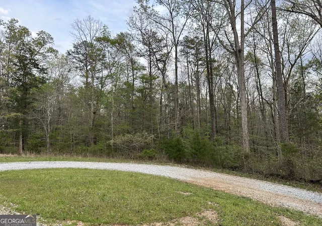 Homes for sale in Elberton, GA | 0 Crows Nest Pt, Elberton, GA 30635 | MLS# 10675084
