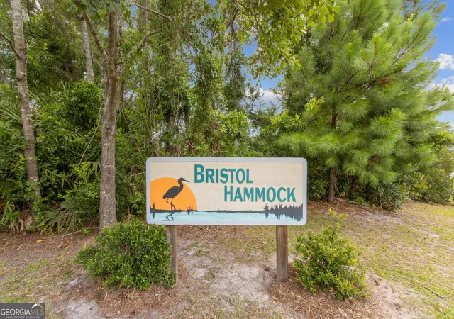 55th image of 942 Bristol Hammock Cir, Kingsland, GA 31548 | MLS# 10657336