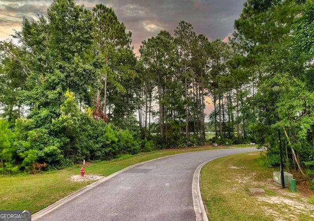 3rd image of 0 Lone Pine Ct, Waverly, GA 31565 | MLS# 10808472