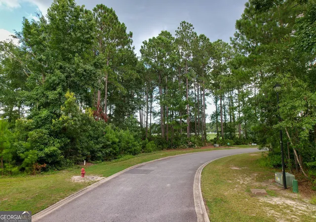 4th image of 0 Lone Pine Ct, Waverly, GA 31565 | MLS# 10808472