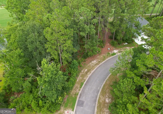 5th image of 0 Lone Pine Ct, Waverly, GA 31565 | MLS# 10808472