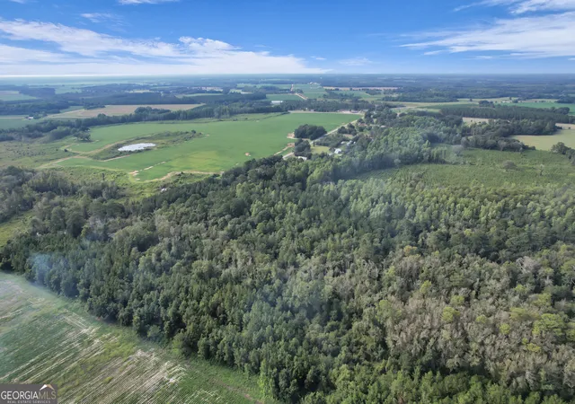4th image of 0 K'Ville Rd, Screven, GA 31560 | MLS# 10596074