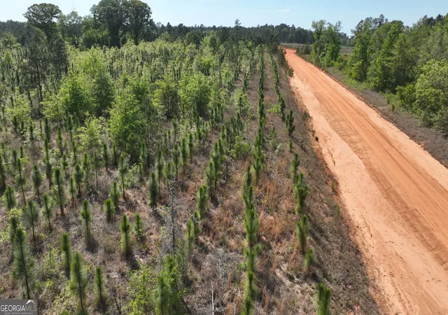 Photo 3 of Land for sale at 0 Old Warrenton Rd, Matthews, GA 30818 | MLS# 10766942 | Listing updated on 2026-06-18