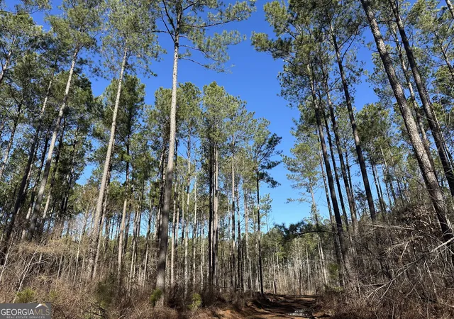 Photo 4 of Land for sale at 0 Farmington Rd, Watkinsville, GA 30677 | MLS# 10731916 | Listing updated on 2026-04-28