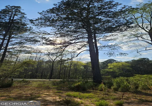 1st image of 0 Shiloh Rd, Greensboro, GA 30642 | MLS# 10722172