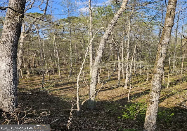Photo 3 of Land for sale at 0 Highway 15, Greensboro, GA 30642 | MLS# 10722172 | Listing updated on 2026-06-29