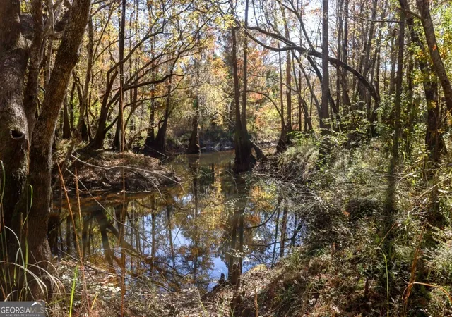 1st image of 0 Twin Forks Rd/martin Rd #TRACT 5, Statesboro, GA 30458 | MLS# 10700121