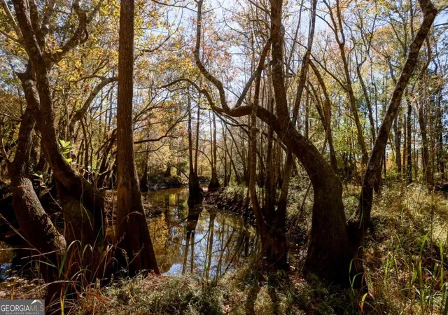2nd image of 0 Twin Forks Rd/martin Rd #TRACT 5, Statesboro, GA 30458 | MLS# 10700121