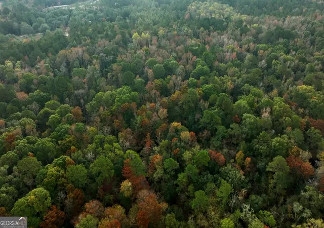5th image of 0 Twin Forks Rd/Martin Rd #TRACT 5, Statesboro, GA 30458 | MLS# 10700121