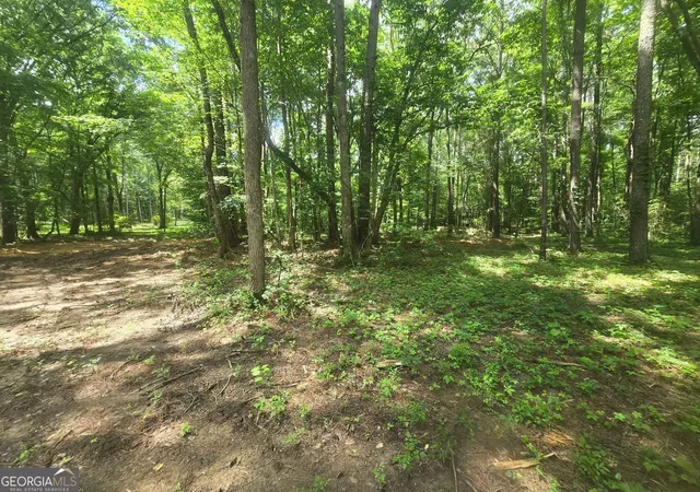 10th image of 966 Judkin Ml Rd, Cedartown, GA 30125 | MLS# 10820645