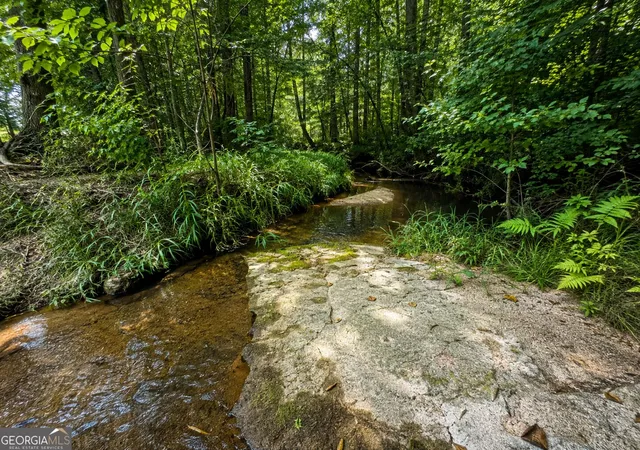 Photo 1 of Land for sale at 47 Acres Cochran Rd, Madison, GA 30650 | MLS# 10827998 | Listing updated on 2026-09-13