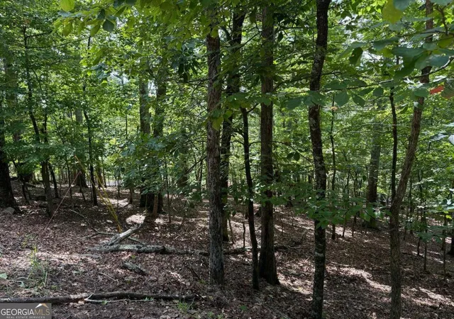 1st image of 117 Tulip Tree Ct, Waleska, GA 30183 | MLS# 10825583