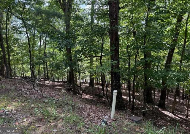 2nd image of 117 Tulip Tree Ct, Waleska, GA 30183 | MLS# 10825583