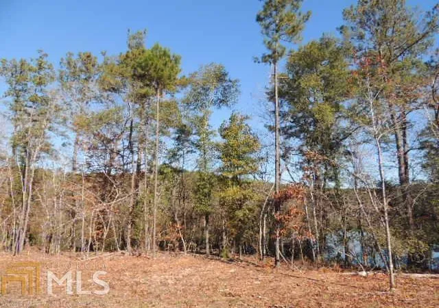 Homes for sale in Hamilton, GA | 0 Mountain Dr #TR 1, Hamilton, GA 31811 | MLS# 8909230