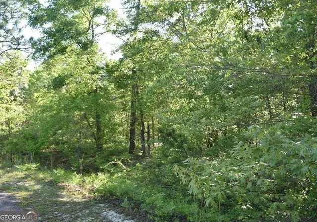 1st image of Lot 27 Chestnut Ln, Garfield, GA 30425 | MLS# 10809584
