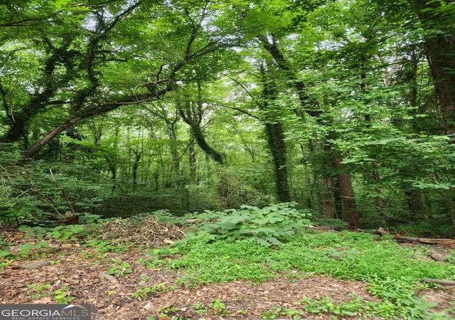 Photo 3 of Land for sale at 0 W Kimberly Rd Sw, Atlanta, GA 30331 | MLS# 10620979 | Listing updated on 2026-07-18
