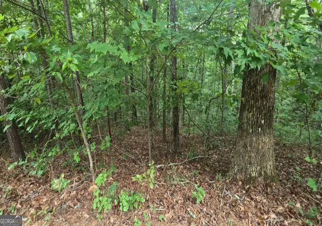 Photo 2 of Land for sale at Lot 9 Harris Crk Dr, Ellijay, GA 30540 | MLS# 10818760 | Listing updated on 2026-08-18