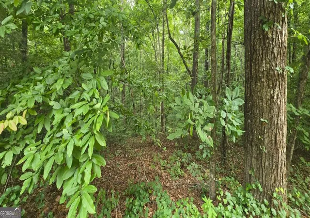 Photo 3 of Land for sale at Lot 9 Harris Crk Dr, Ellijay, GA 30540 | MLS# 10818760 | Listing updated on 2026-08-18