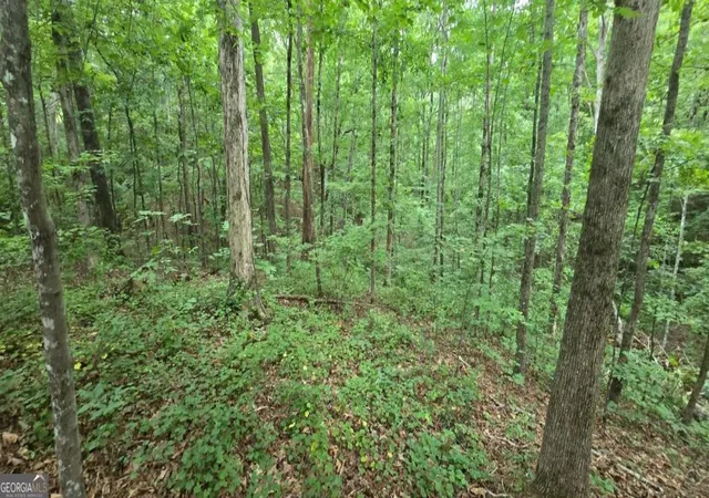 Photo 4 of Land for sale at Lot 9 Harris Crk Dr, Ellijay, GA 30540 | MLS# 10818760 | Listing updated on 2026-08-18