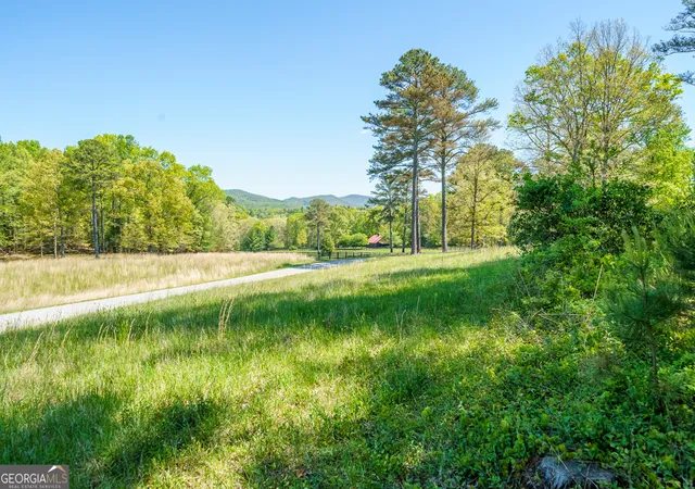 3rd image of Lot 3 Spring Camp Rd, Ellijay, GA 30536 | MLS# 10753321