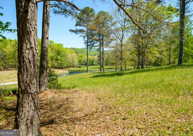 4th image of Lot 3 Spring Camp Rd, Ellijay, GA 30536 | MLS# 10753321