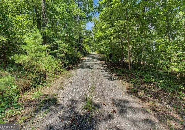 2nd image of 276 Wilderness Camp Rd Se, White, GA 30184 | MLS# 10826429