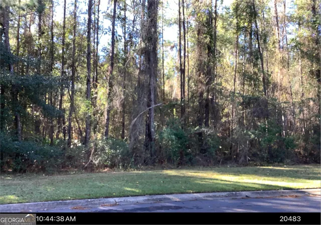 2nd image of 0 Secret Cove Rd, Woodbine, GA 31569 | MLS# 10653968