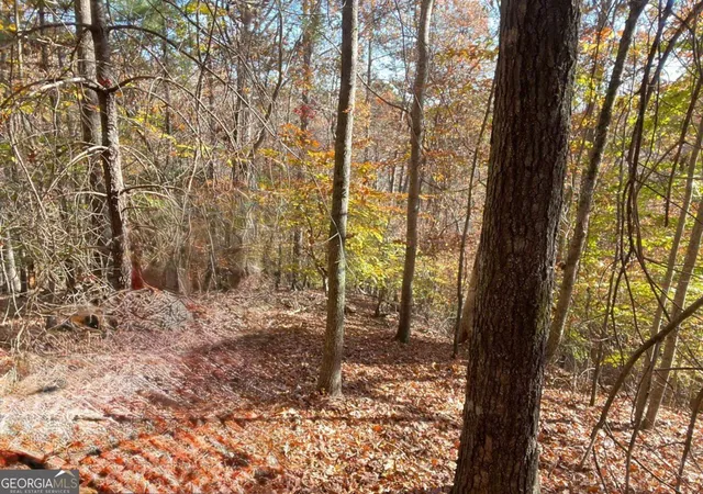 Photo 1 of Land for sale at 0 Hyalite Rd W, Dahlonega, GA 30533 | MLS# 10670038 | Listing updated on 2026-01-25