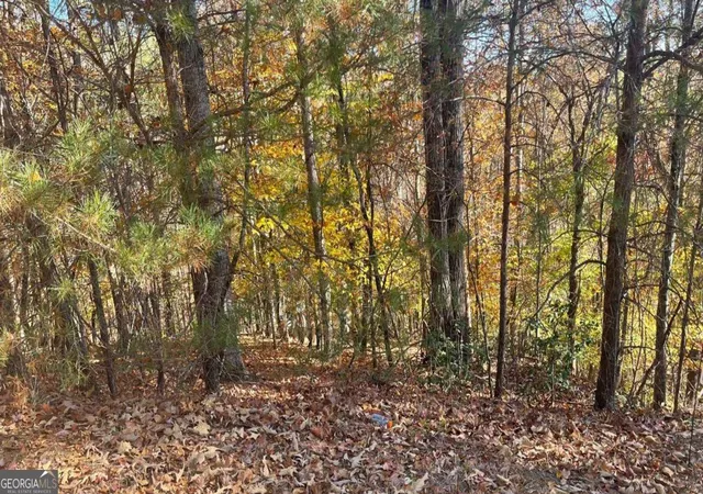 Photo 4 of Land for sale at 0 Hyalite Rd W, Dahlonega, GA 30533 | MLS# 10670038 | Listing updated on 2026-01-25