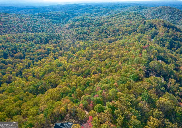 Photo 1 of Land for sale at Lot 19 Oceola Dr, Ellijay, GA 30540 | MLS# 10649560 | Listing updated on 2026-10-06