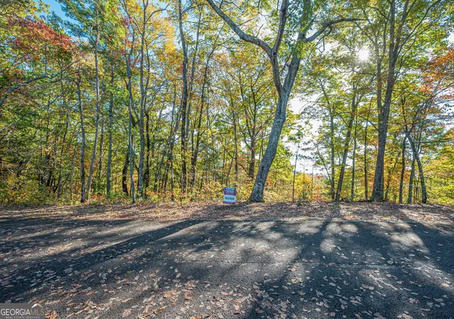 Photo 2 of Land for sale at Lot 19 Oceola Dr, Ellijay, GA 30540 | MLS# 10649560 | Listing updated on 2026-10-06