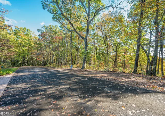 Photo 3 of Land for sale at Lot 19 Oceola Dr, Ellijay, GA 30540 | MLS# 10649560 | Listing updated on 2026-10-06
