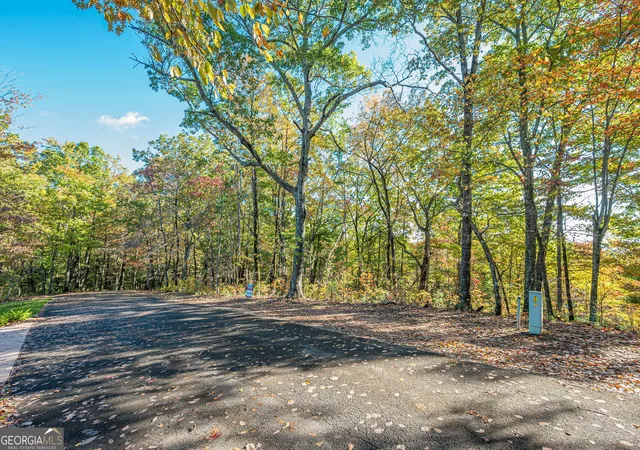 Photo 3 of Land for sale at Lot 19 Oceola Dr, Ellijay, GA 30540 | MLS# 10649560 | Listing updated on 2026-10-06
