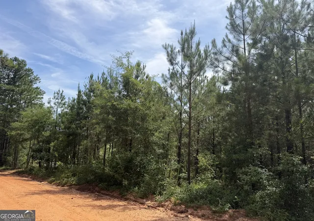Homes for sale in Tallassee, AL | 005b Cleghorn Dr, Tallassee, AL 36078 | MLS# 10800817