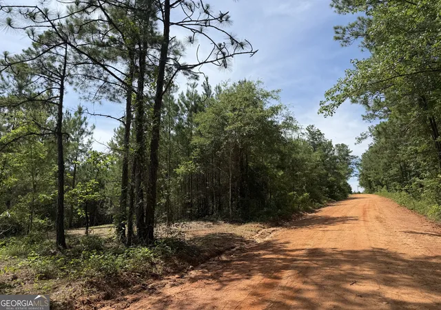 Homes for sale in Tallassee, AL | 005b Cleghorn Dr, Tallassee, AL 36078 | MLS# 10800817