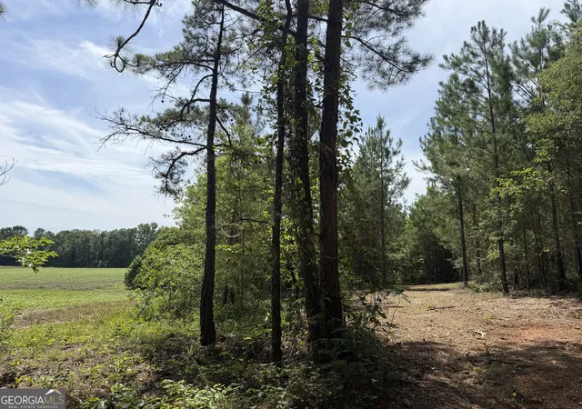 Homes for sale in Tallassee, AL | 005B Cleghorn Dr, Tallassee, AL 36078 | MLS# 10800817