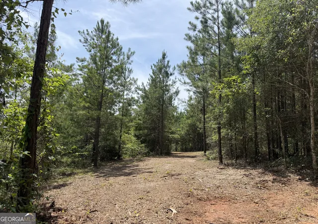 Homes for sale in Tallassee, AL | 005B Cleghorn Dr, Tallassee, AL 36078 | MLS# 10800817