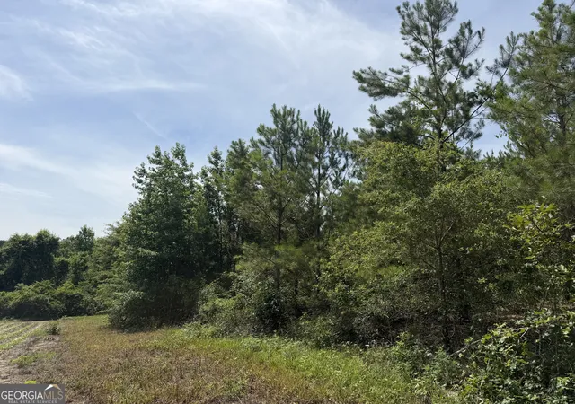 Homes for sale in Tallassee, AL | 005B Cleghorn Dr, Tallassee, AL 36078 | MLS# 10800817