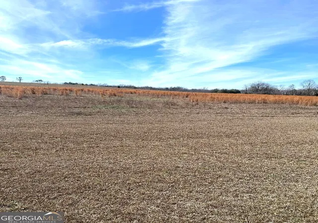 Photo 3 of Land for sale at 0 Mill Crk Rd, Bartow, GA 30413 | MLS# 10676048 | Listing updated on 2026-09-21