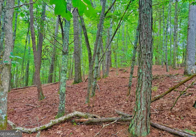 Photo 1 of Sale Pending at 00 Hale Ct, Ellijay, GA 30540 | MLS# 10549498 | Listing updated on 2025-10-11