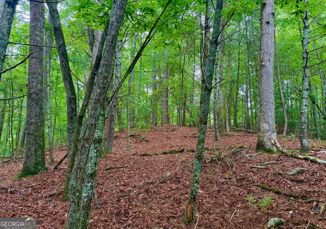 Photo 1 of Sale Pending at 00 Hale Ct, Ellijay, GA 30540 | MLS# 10549498 | Listing updated on 2025-10-11