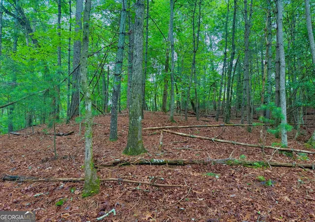 Photo 2 of Sale Pending at 00 Hale Ct, Ellijay, GA 30540 | MLS# 10549498 | Listing updated on 2025-10-11