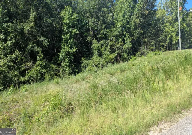 2nd image of 111 Chipper Ln, Sparta, GA 31087 | MLS# 10811313