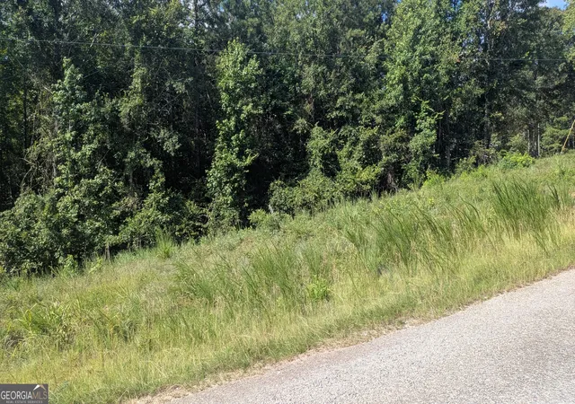 3rd image of 111 Chipper Ln, Sparta, GA 31087 | MLS# 10811313