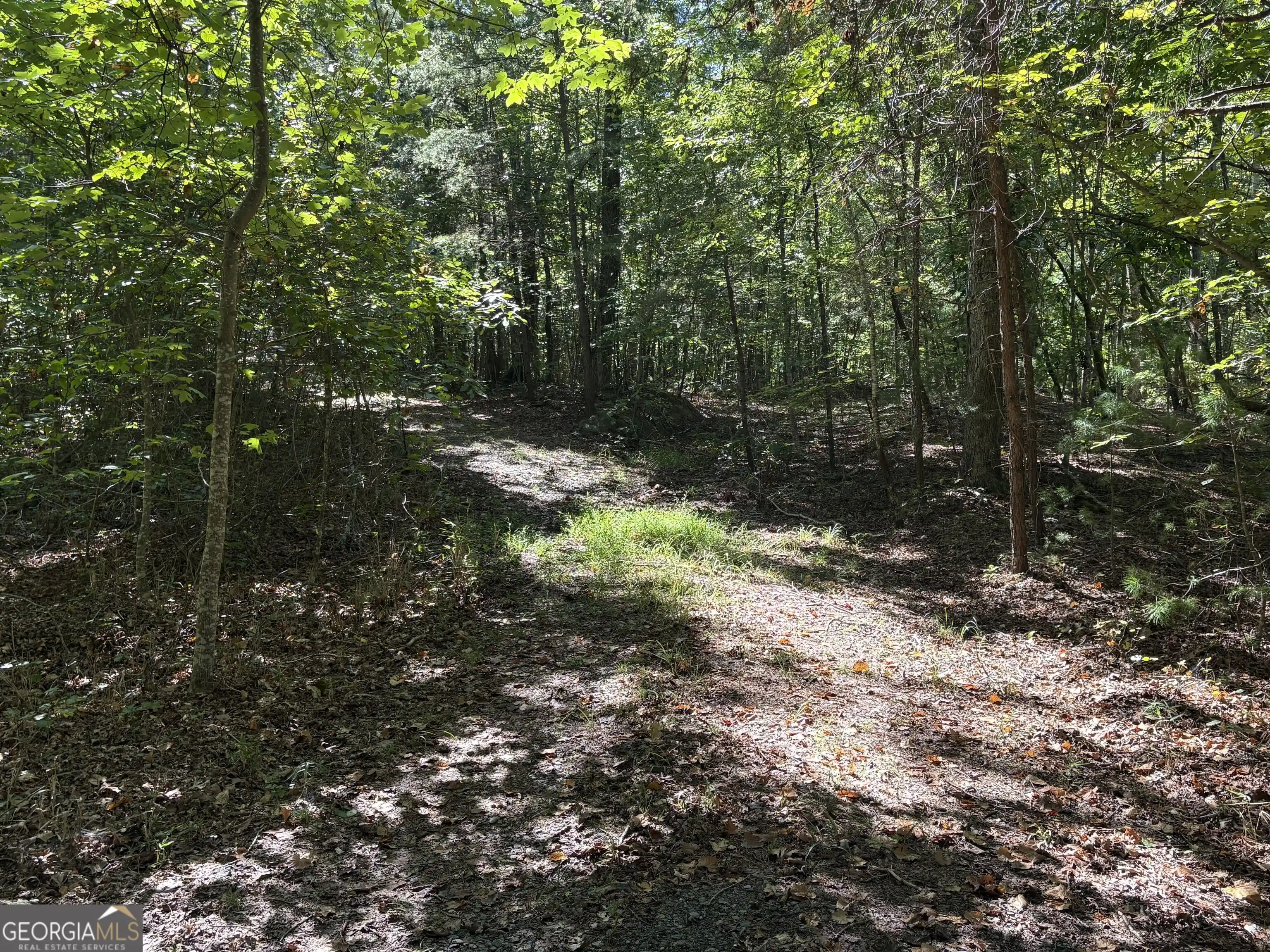 Photo 1 of Land for sale at 29b Hillstead Tr, Ellijay, GA 30540 | MLS# 10853744 | Listing updated on 2026-10-09