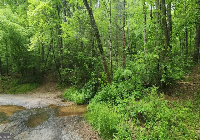 Photo 1 of Sale Pending at 13 Ac Goose Island Rd, Ellijay, GA 30540 | MLS# 10761378 | Listing updated on 2026-09-14